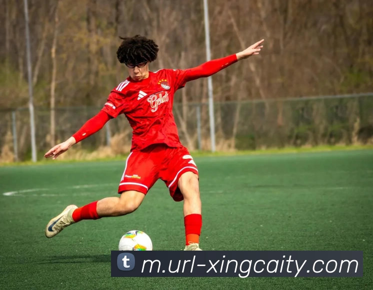 杏彩体育平台生态图