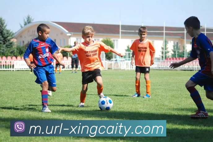 数据防护可视化